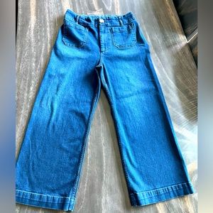 Anthro Pilcro The Skipper 29  Wide Leg same style as Colette jean